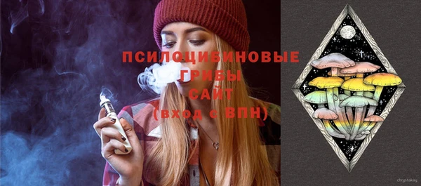 apvp Аркадак
