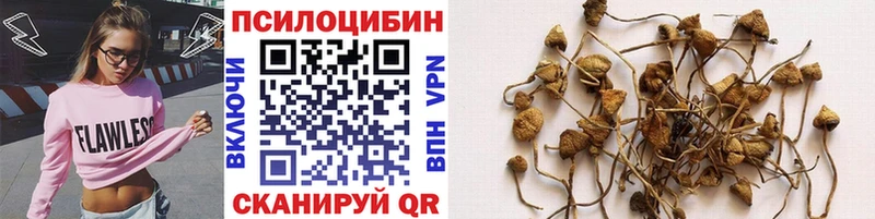 площадка формула  купить наркоту  Рославль  Псилоцибиновые грибы Psilocybine cubensis  ОМГ ОМГ маркетплейс 